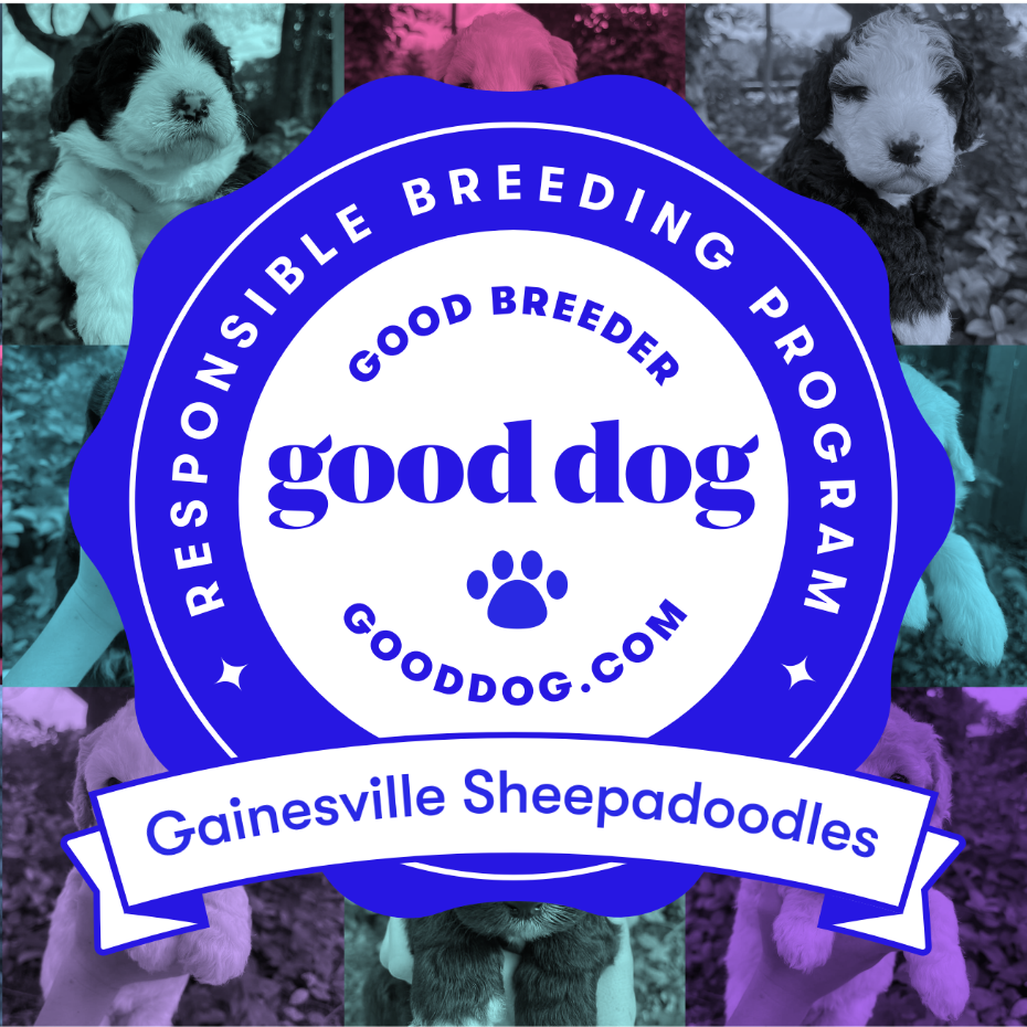 GoodDog Breeder Badge